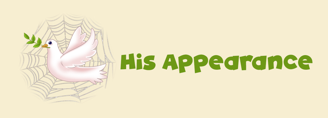 His Appearance